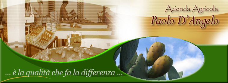 Azienda Agricola Paolo D'Angelo